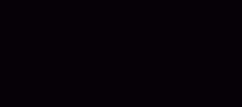 MONTRÉAL EN LUMIÈRE 2024