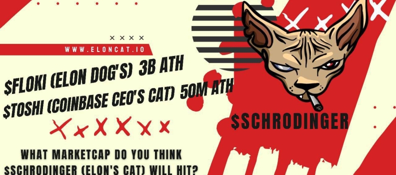 Schrodinger, The New Memecoin Sensation Based On A Unique Quantum Cat, Announces Successful Launch