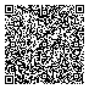 B C Consulting Services QR vCard