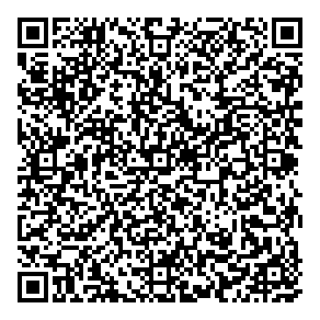 Tourism Excellence Inc QR vCard