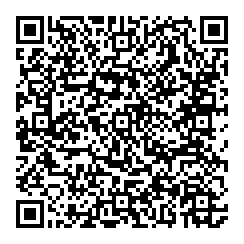 Henry S Palmer QR vCard