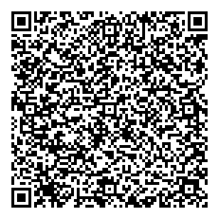 Demner Consulting Services QR vCard