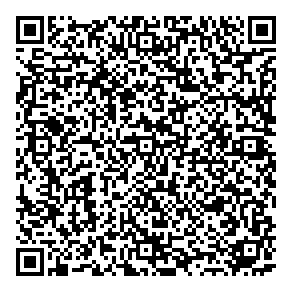 Business Tuner-consulting QR vCard