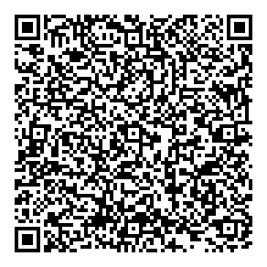 Bright Knight Consulting QR vCard