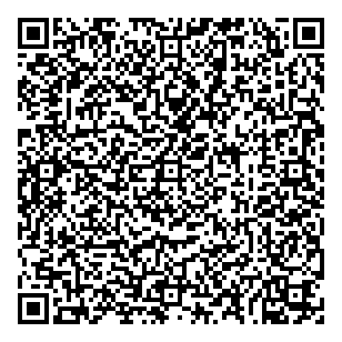 Brinco Financial Services Inc QR vCard