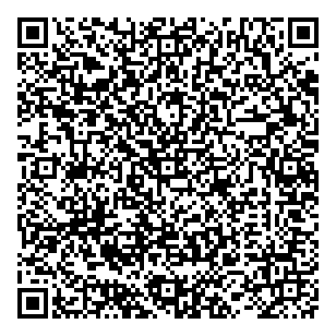 Night Owl Security & Investigations QR vCard