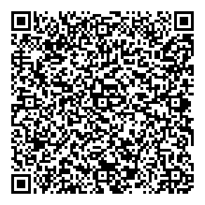 V K Investment L P QR vCard