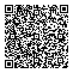 Y Wang QR vCard