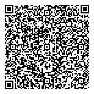 Bourgeois Diesel Services Limited QR vCard